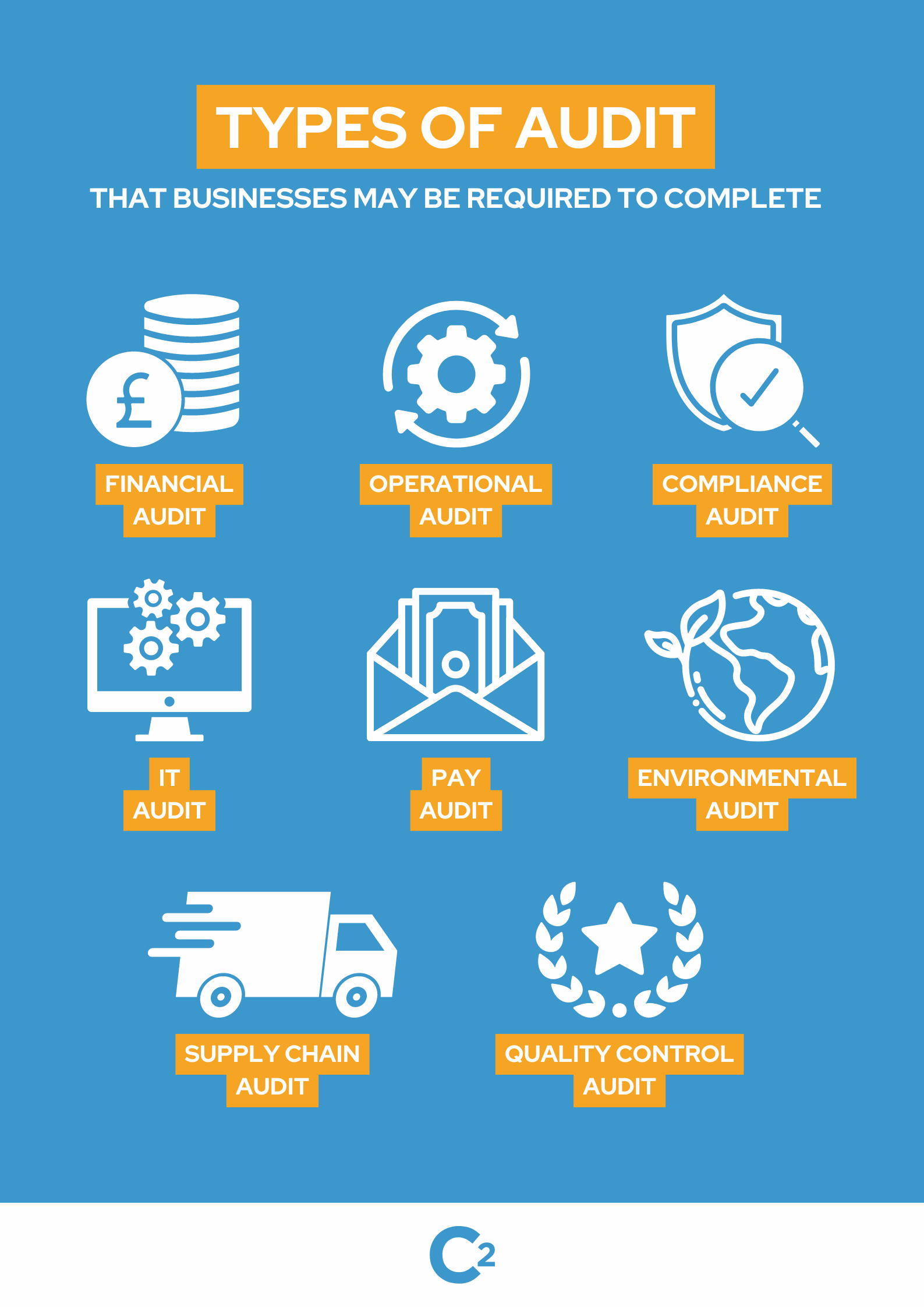 types of audit for businesses